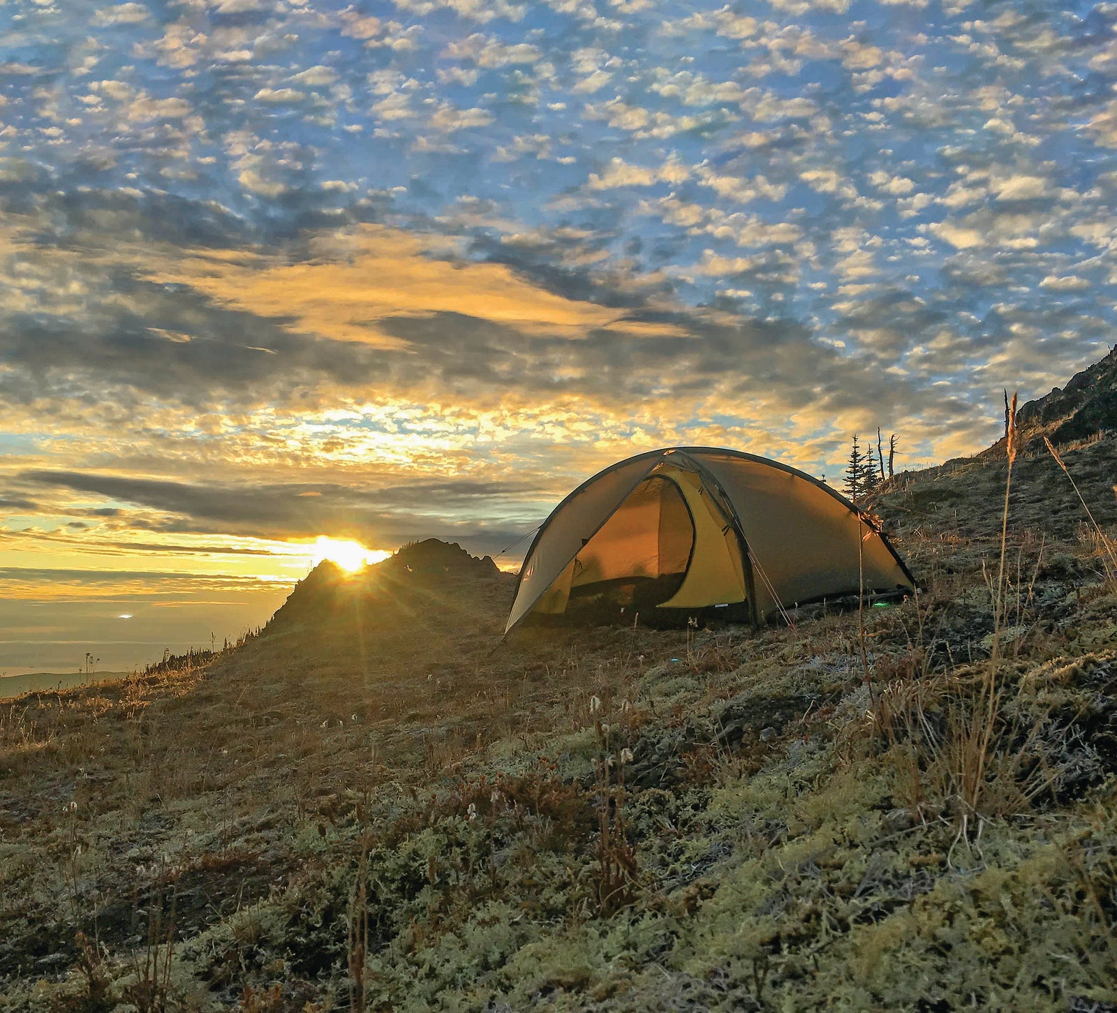 A Trustworthy Tent Means A Better Hunt