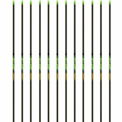 Gold Tip HUNTER, HUNTER XT & HUNTER PRO Arrow Shafts (12x)