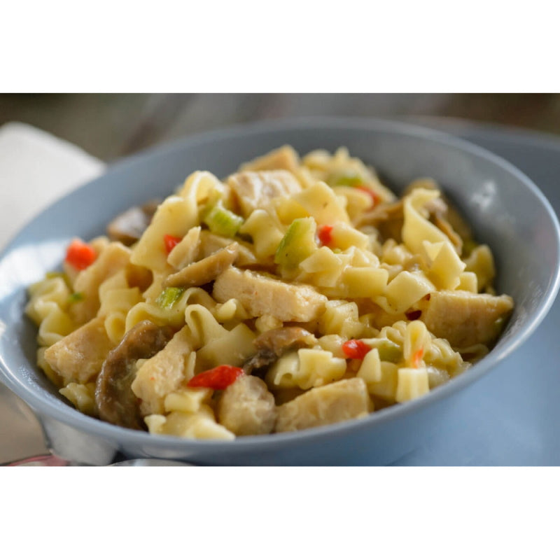 Mountain House Homestyle Chicken Noodle Casserole